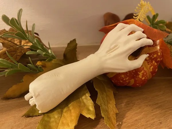 https://makerworld.bblmw.com/makerworld/model/USec47ec59d1650f/design/2023-10-20_0da7234fdfe3c.png