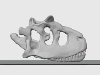 Carnotaurus