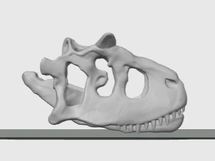 Carnotaurus