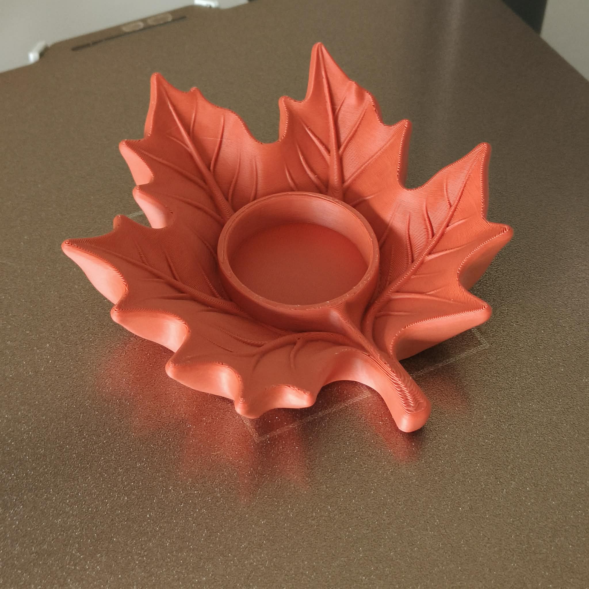 Foto 7