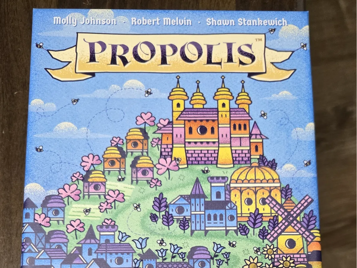 Rangement de boîte pour le jeu Propolis