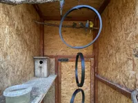 Balançoire circulaire pour oiseau de volière — photo 3