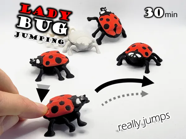 https://makerworld.bblmw.com/makerworld/model/USec53b34f868d41/design/2025-12-10_7d3db7002c4e58.jpg