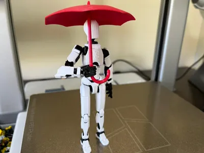 Umbrella for Dummy 13