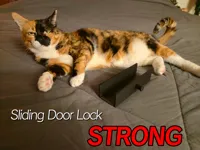 4mm thick walls, 100% infill, 40mm door gap