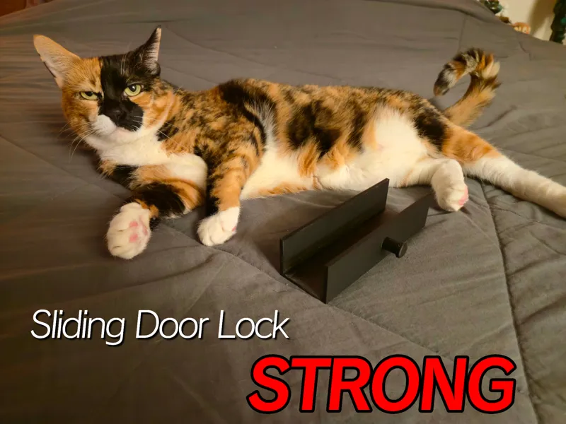 Sliding Lock for Folding Closet Doors