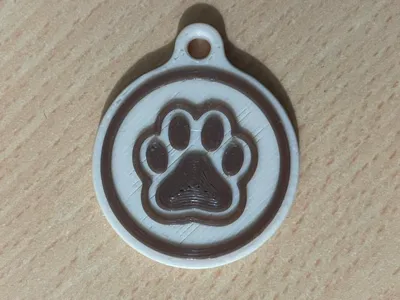 NFC Pet Collar Tag