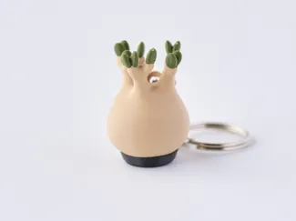 Pachypodium gracilis mini figure