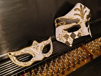 Male Female matching Masquerade Masks