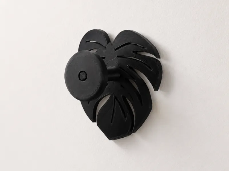 Appendino Monstera