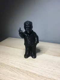 Figurine doigt d'honneur Donald Trump — photo 3