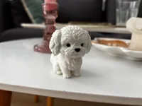 0.2mm layer, 2 walls, 10% infill