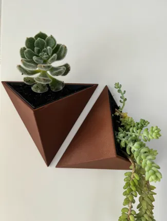 Planter - Macetero: Reinventing Your Plant's Home