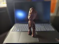 Groot — photo 2