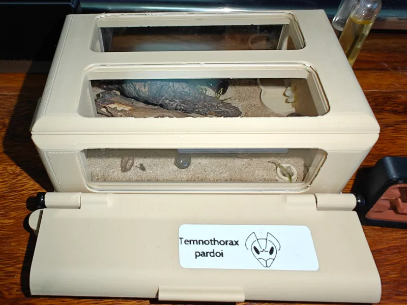 MiniArenaMitNest