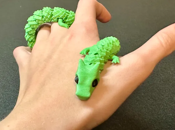 https://makerworld.bblmw.com/makerworld/model/USec7c08f8ccedbe/design/2025-11-18_fefda126818058.jpg