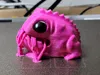 Frog ( AMS Version )