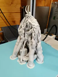0.16mm layer, 3 walls, 5% infill