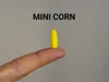 Mini Corn - 0.12mm layer, 2 walls, 15% infill