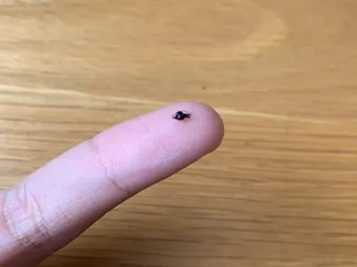 Extremely Small and Fast Print (Bambu lab points)