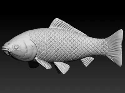 KOI FISH - READY FOR 3D PRINT