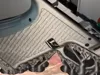 0.2mm layer, 10 walls, 100% infill