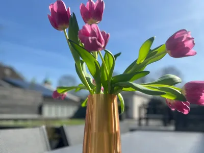 Brushed copper vase
