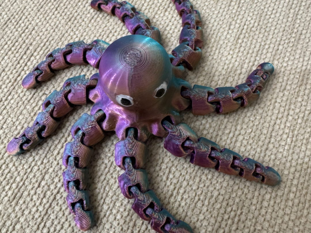 Polpo flexi tricolor