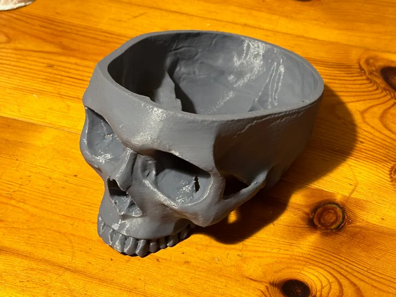 1:1 scale human skull from 3d scan
