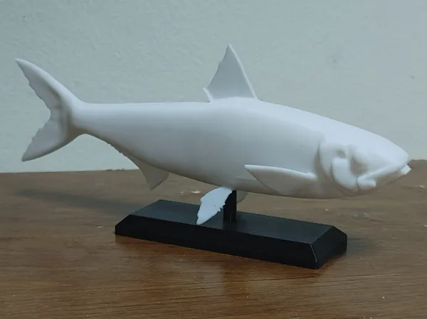 https://makerworld.bblmw.com/makerworld/model/USec9440e93fb005/design/2025-03-03_dd95046307c7a.jpg