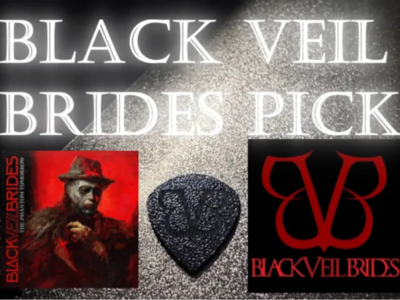 Black Veil Brides Guitar Pick Jazz III