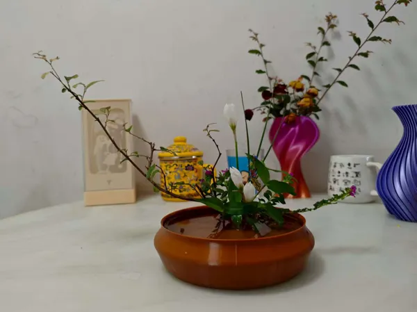 https://makerworld.bblmw.com/makerworld/model/USec98a1c5b26354/design/2025-09-22_61fdb5e2a1c778.jpg