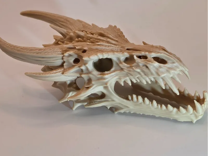 Ancient Dragon Skull – Fantasy Relic
