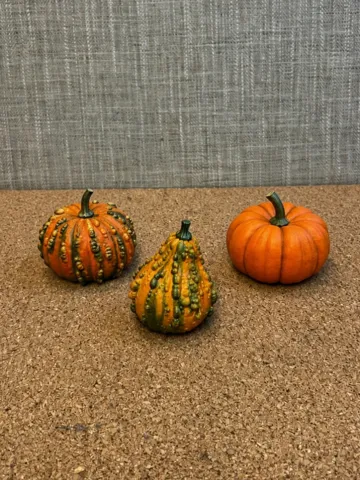 Adorno temático: Decorative Fall Gourds — vista de referencia 2