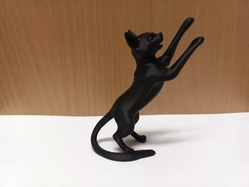 black cat