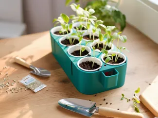 Seed Starter Box – Self Watering Planter