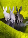 Osterhase
