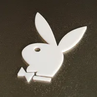 Logo Playboy Bunny — photo 3