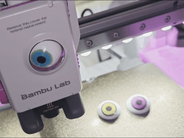 https://makerworld.bblmw.com/makerworld/model/USecba2a9609a886/design/2025-02-19_11d9ed79b36fd.gif