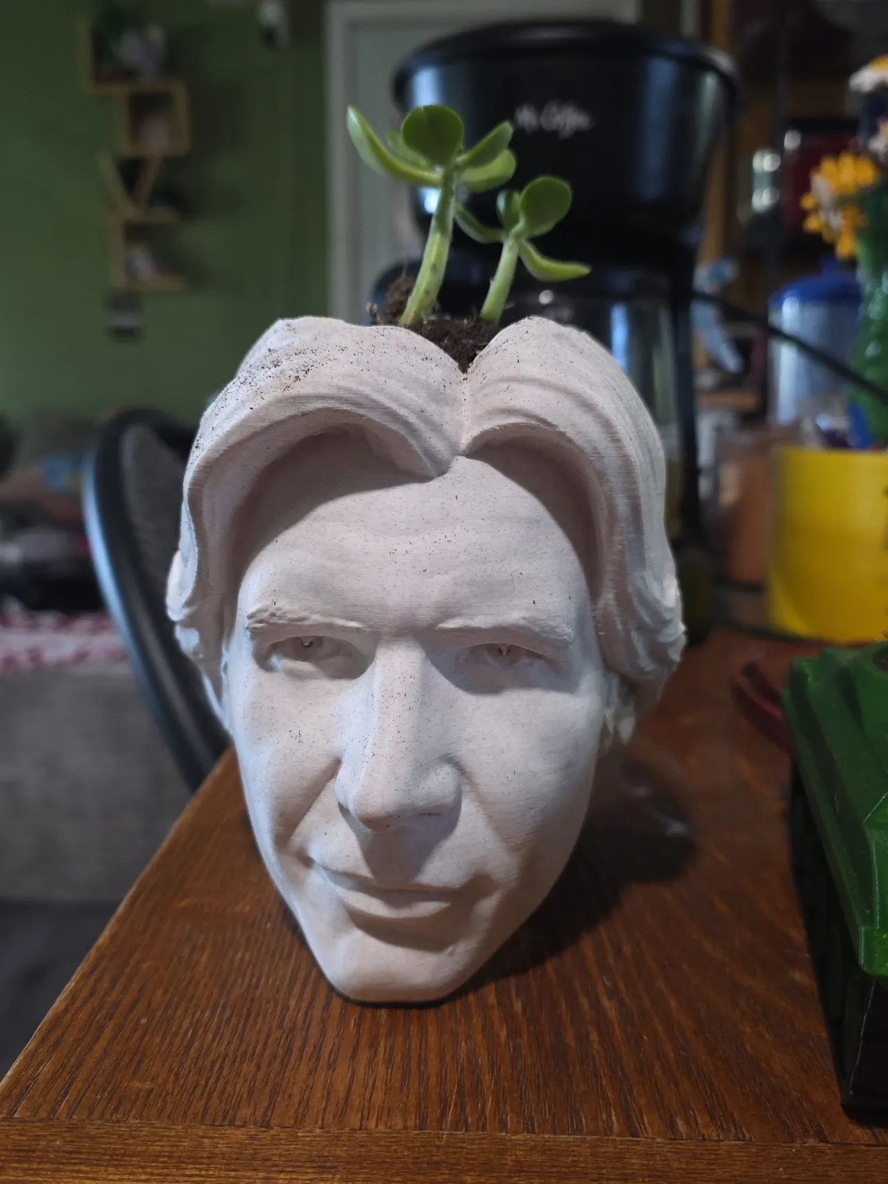Han Solo Planter view 2