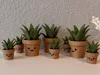 Smiling Flower Pot with AMS