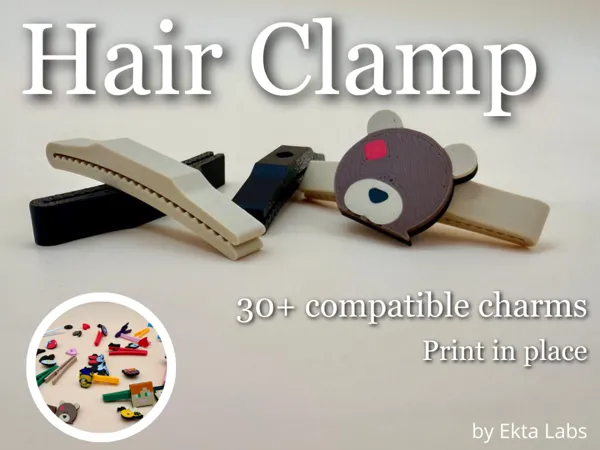 https://makerworld.bblmw.com/makerworld/model/USecc1ebebc27968/design/857ef0116d3c257d.png