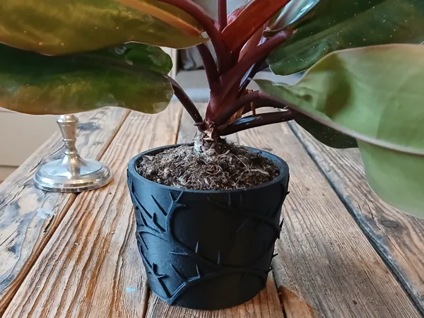 https://makerworld.bblmw.com/makerworld/model/USecc31815000a8e/design/2025-09-13_0e649e78bddcf.jpg