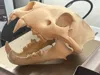 0.2mm layer, 2 walls, 4% infill