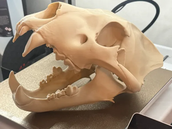https://makerworld.bblmw.com/makerworld/model/USecc49f54fb9597/design/c552ea82b663395c.jpg