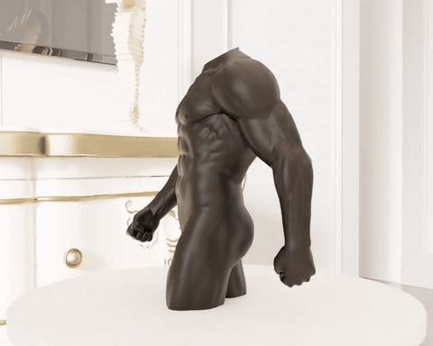 https://makerworld.bblmw.com/makerworld/model/USecc6a7bb428215/design/2025-10-12_64875993aa003.gif