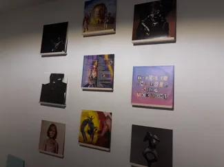 Vinyl holder