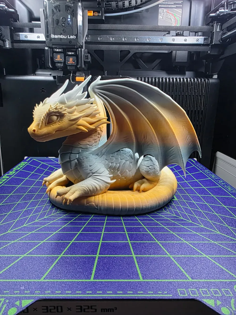 Ivory Ember Dragon - Free 3D Print Model - MakerWorld