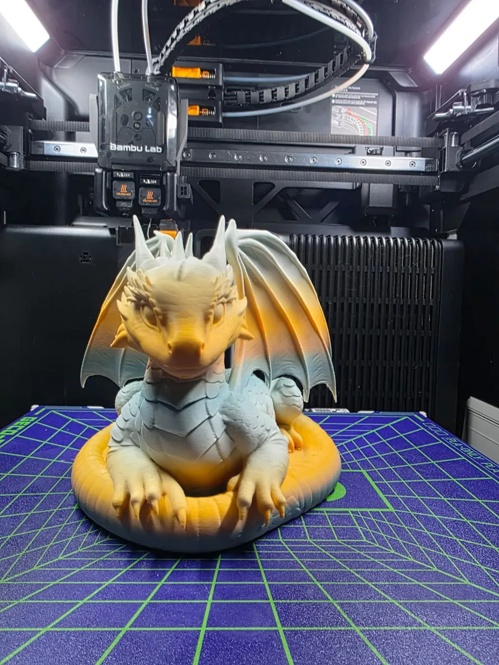 Ivory Ember Dragon - Free 3D Print Model - MakerWorld