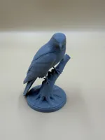 Single Color Version 0.2mm layer, 3 walls, 7% infill